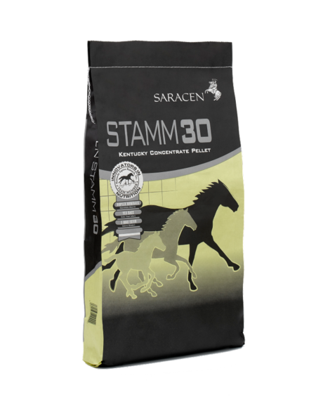 Saracen Stamm 30 Balancer 20kg