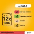 Pedigree Pouch Favourites Jelly 4 x 12 x 100g